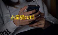 占星猫cutli